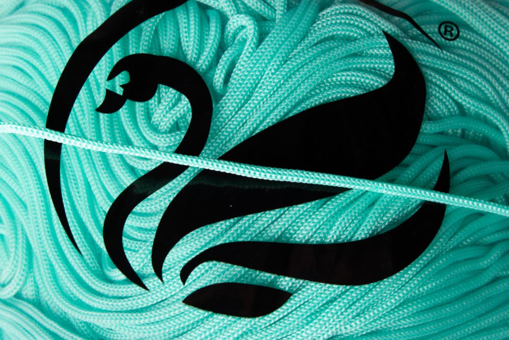 Immagine articolo Cordino Thai Swan Campolmi Filati